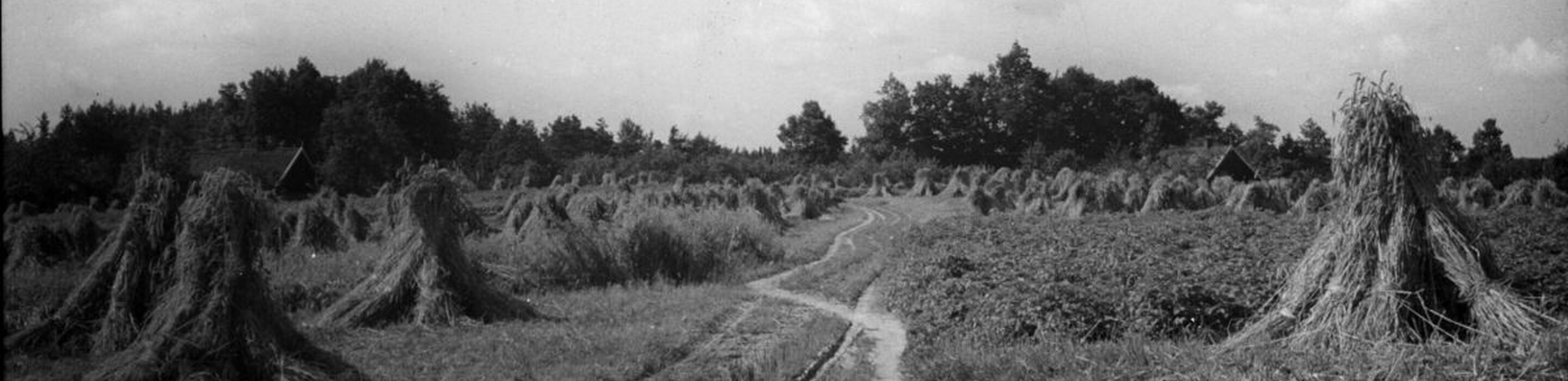 1950 nijenhaar beuningen