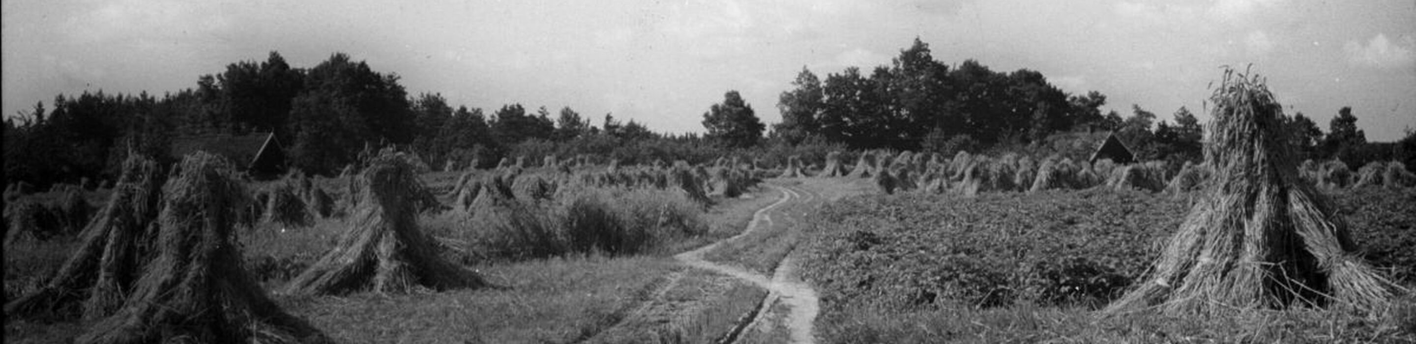 1950 nijenhaar beuningen