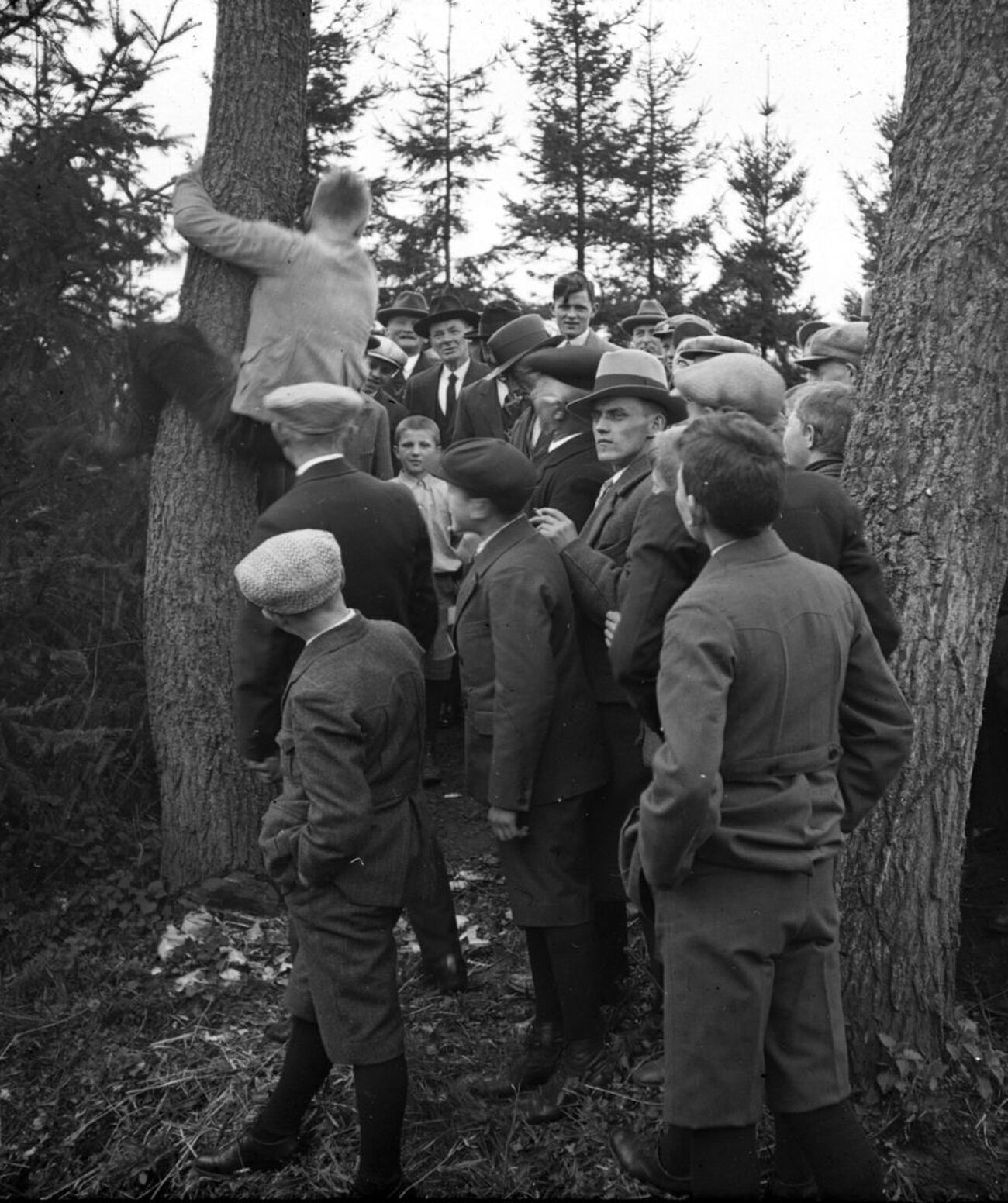 Judas brengt touw in de boom