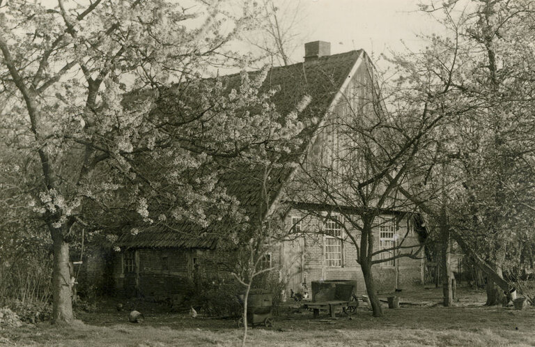 K 0055